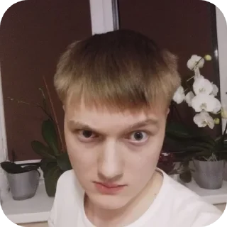 Telegram stiker 💇 m3wsu