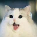 Sticker 😹 DEBOCHES K7