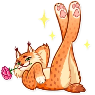 Video sticker 🌹 Lynx