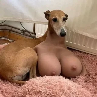 Telegram sticker 🌟 🪲 Exotic Beetle :: @fStikBot