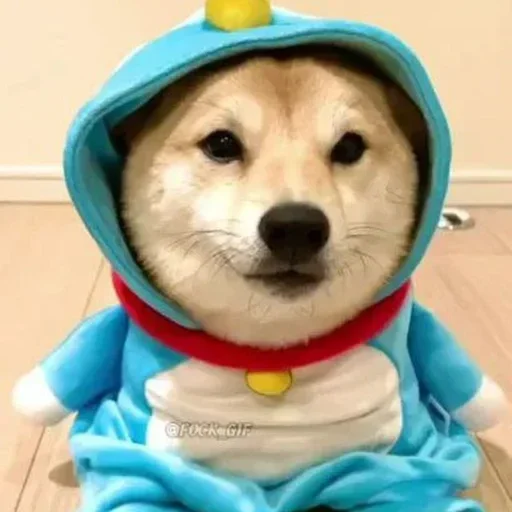 Телеграм стикер 🏵 Senorita👽👽