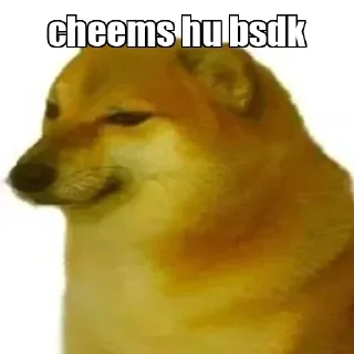 Video sticker ✔️ Senorita👽👽