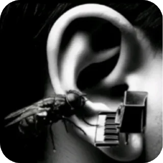 Video sticker 🪰 коммент из тт