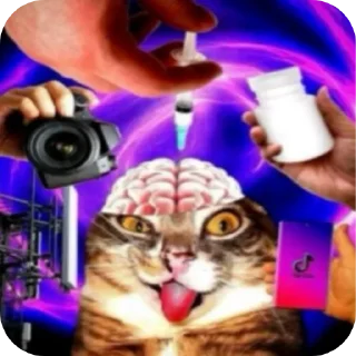 Telegram sticker 😬 коммент из тт