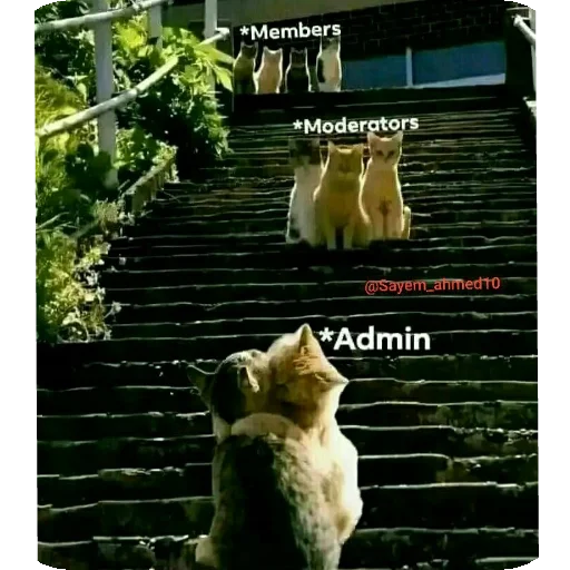 Telegram sticker 👍 Sticker 🙂 @sayem_44