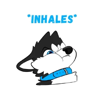 Video sticker 😠 Pulex Collection 2