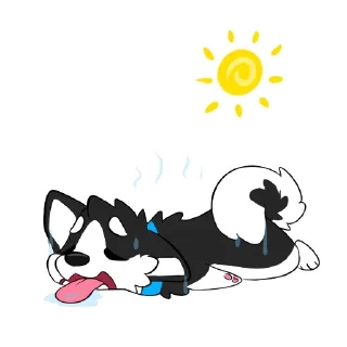 Video sticker 🥵 Pulex Collection 2
