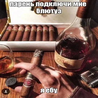 Telegram sticker 🌟 touch the grass but i smoked i :: @fStikBot