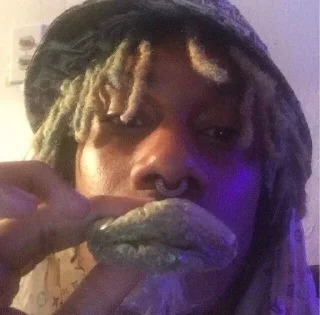 Video sticker 🌟 touch the grass but i smoked i :: @fStikBot