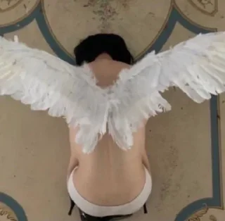 Video sticker 🌟 touch the grass but i smoked i :: @fStikBot