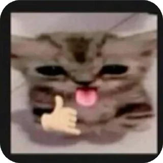 Sticker 👍 Sadiq_CS;