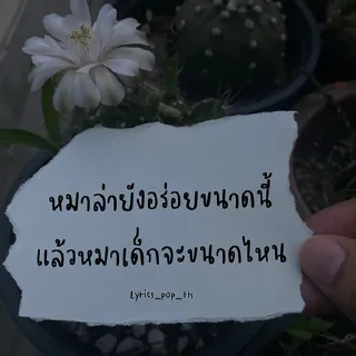 Telegram sticker 🙂‍↕️ OREO_Ssppto4