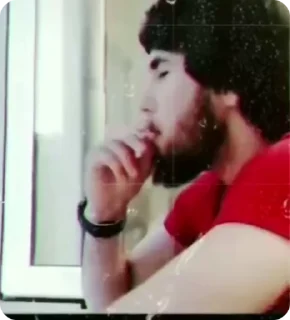 Video sticker 🌟 Surikat Pac @fStikBot