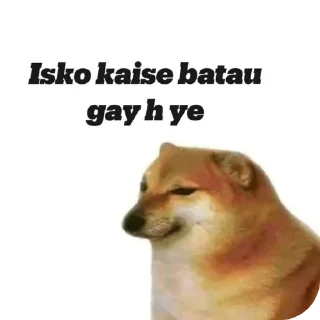 Telegram sticker 🐶 Don't use