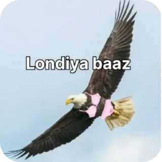 Sticker 🐦 Don't use