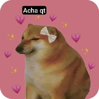 Video sticker 🐶 Don't use