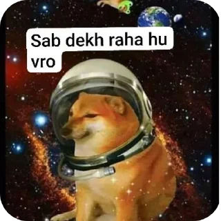 Video sticker 🖼 Don't use