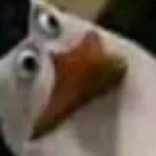 Telegram sticker 😐 It's My Party ❤️‍🔥🫦🌟 :: @fStikBot