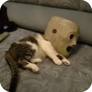 Video sticker 🐈 Slipknot