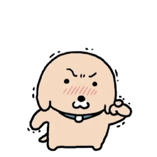 Video sticker ⭐ 누뎅이 모음