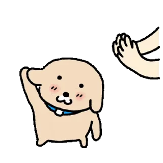 Video sticker ⭐ 누뎅이 모음