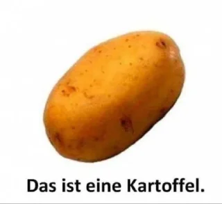 Video sticker ⭐️ MyStickers • @sticbot