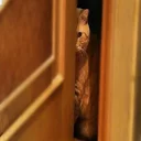 Telegram sticker 😒 D7oom's