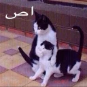 Telegram sticker 🙊 D7oom's