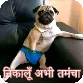 Telegram sticker 🐶 @NOBI_BADMASH