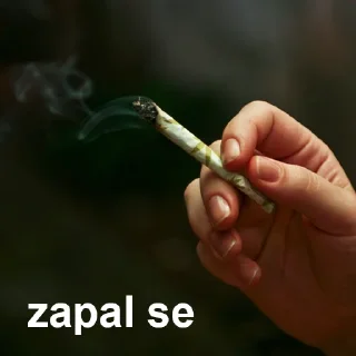 Video sticker 🚬 VENDOR_STICKERS