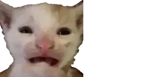 Telegram sticker 😢 Xz @TgEmojiBot