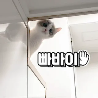 Sticker 💬 밥생밥사 김쫀떡 By @KakaoEmoticon