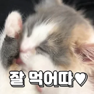 Telegram sticker 💬 밥생밥사 김쫀떡 By @KakaoEmoticon