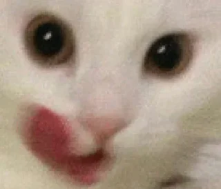 Telegram sticker 😋 ∞︎ @stickersff ∞