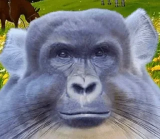 Telegram sticker 🌟 Jdribblecapyfnf :: @fStikBot