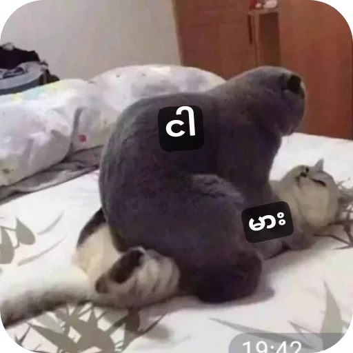 Telegram sticker 🐶 Mya's stk
