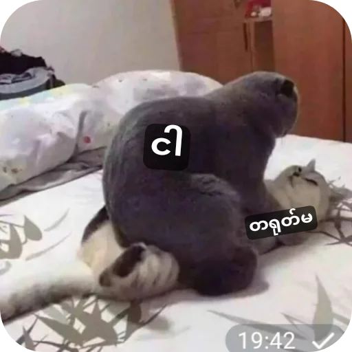Sticker 🐶 Mya's stk
