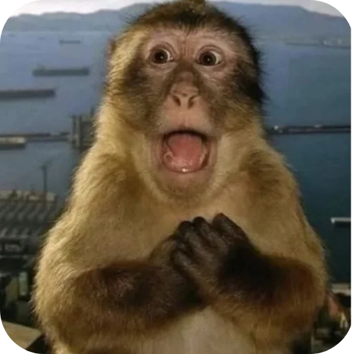 Telegram sticker 👍 Aura means joyboy⚡