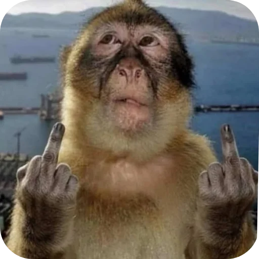 Sticker 👍 Aura means joyboy⚡