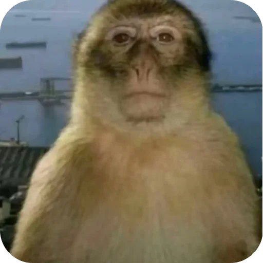 Telegram sticker 👍 Aura means joyboy⚡