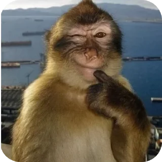 Video sticker 👍 Aura means joyboy⚡