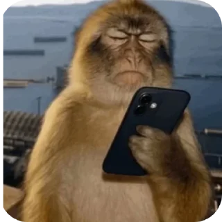 Video sticker 👍 Aura means joyboy⚡