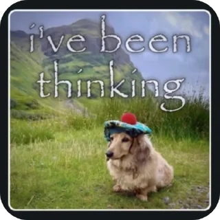 Video sticker 🐶 neXus