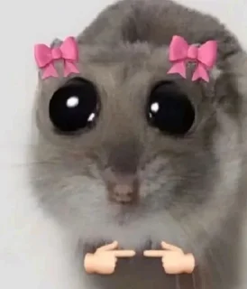 Video sticker 🌟 eren's pack💅🏻 :: @fStikBot