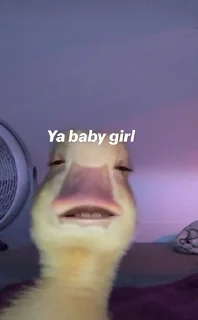 Telegram sticker 🌟 eren's pack💅🏻 :: @fStikBot