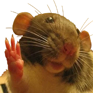 Video sticker 👋 Vermin Pride