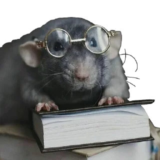 Телеграм стикер 📚 Vermin Pride