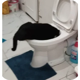 Telegram stiker 🛋 ohio with pikimon211