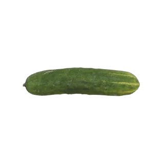 Video sticker 🥒 Больше стиков тут: @stikery4