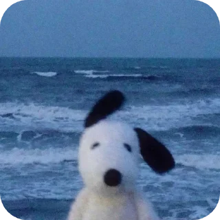 Telegram sticker 🐦 C'est mon lot on touche pas à mon lot c'est à moi